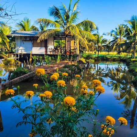 Thomman'S Farm Stay กัตตะยัม ภายนอก รูปภาพ