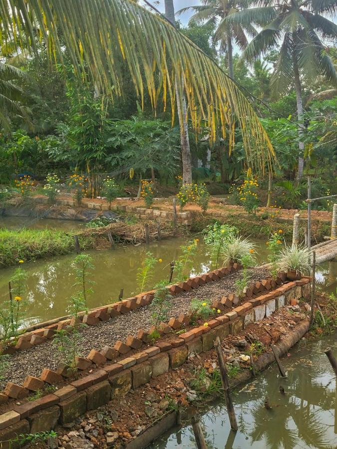 Thomman'S Farm Stay กัตตะยัม ภายนอก รูปภาพ