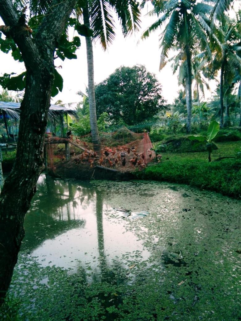 Thomman'S Farm Stay กัตตะยัม ภายนอก รูปภาพ