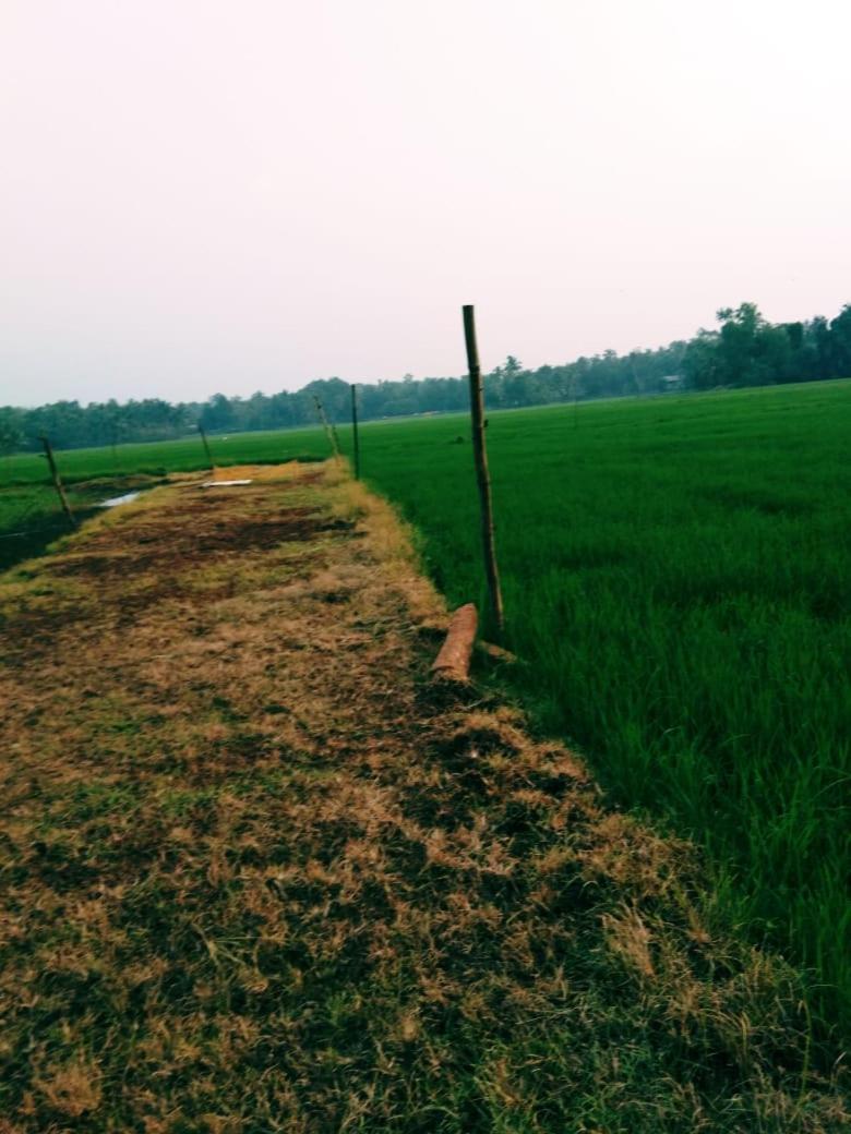 Thomman'S Farm Stay กัตตะยัม ภายนอก รูปภาพ