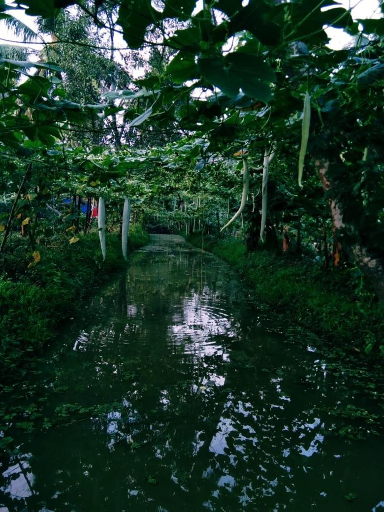 Thomman'S Farm Stay กัตตะยัม ภายนอก รูปภาพ
