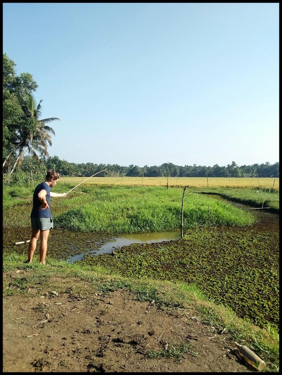 Thomman'S Farm Stay กัตตะยัม ภายนอก รูปภาพ