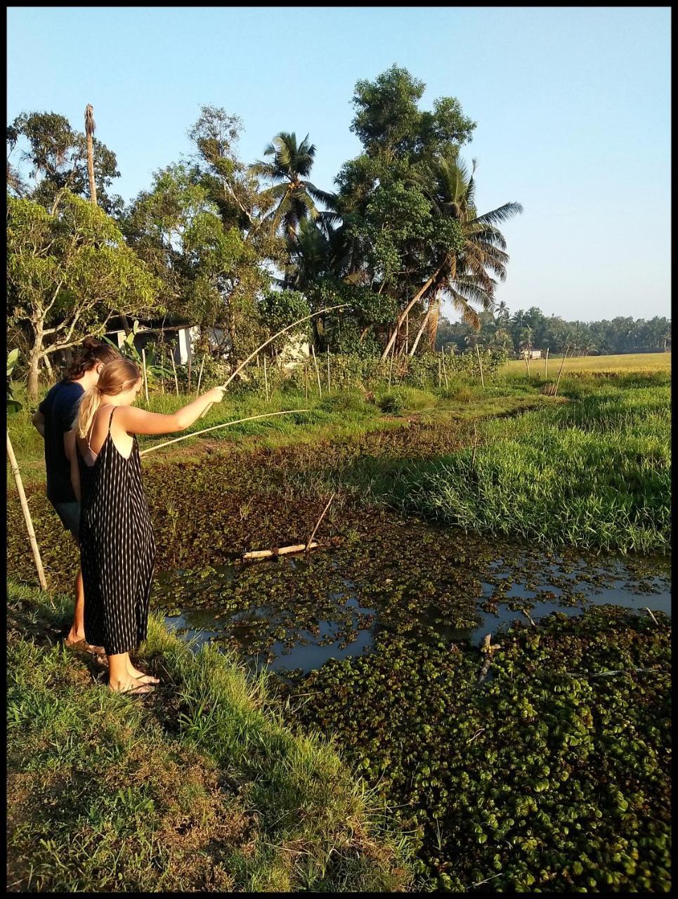 Thomman'S Farm Stay กัตตะยัม ภายนอก รูปภาพ