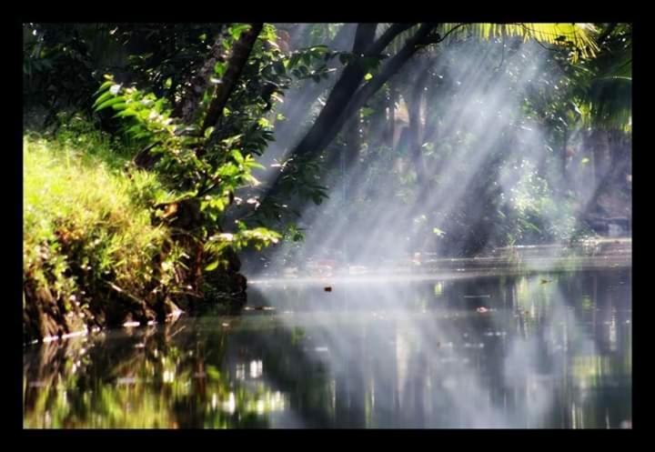 Thomman'S Farm Stay กัตตะยัม ภายนอก รูปภาพ