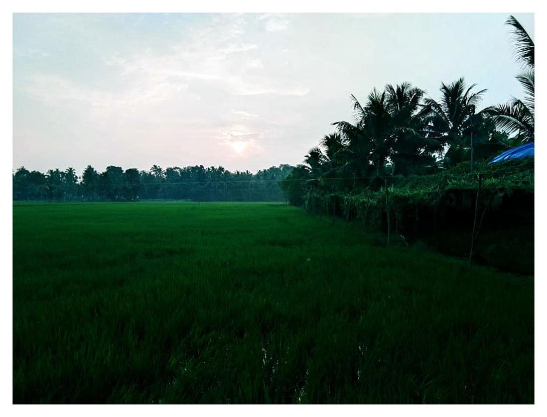 Thomman'S Farm Stay กัตตะยัม ภายนอก รูปภาพ