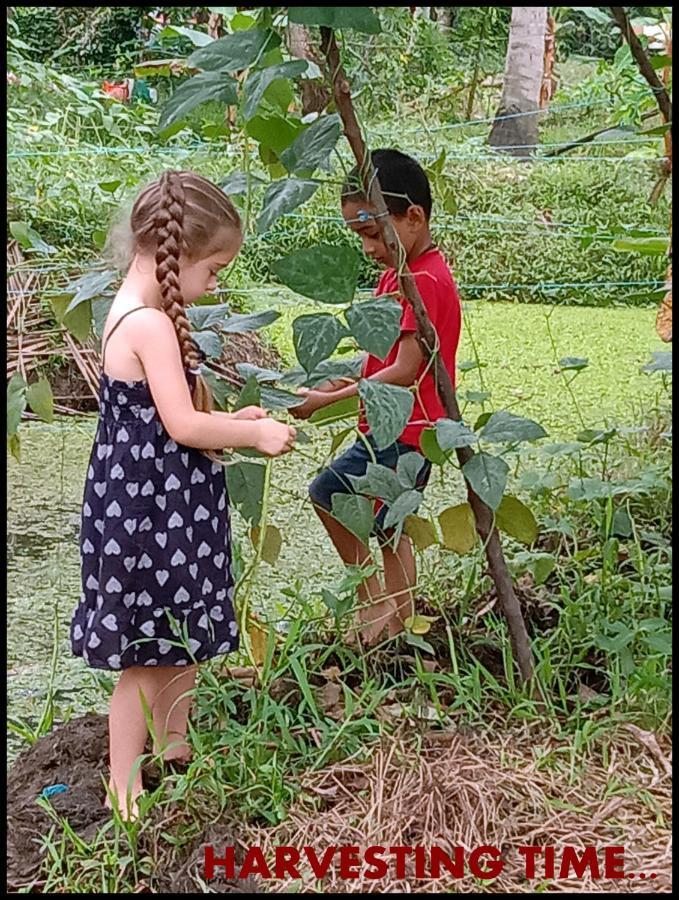 Thomman'S Farm Stay กัตตะยัม ภายนอก รูปภาพ