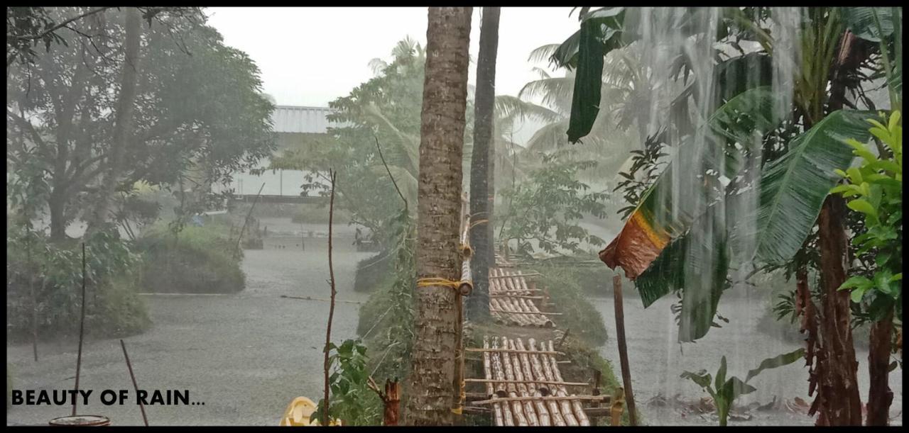 Thomman'S Farm Stay กัตตะยัม ภายนอก รูปภาพ